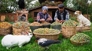 Harvesting and Baking with Fresh Almonds A Village Tradition [upl. by Amikan]