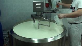 Cheese making 400l milk with Plevnik equipment [upl. by Innavoig]