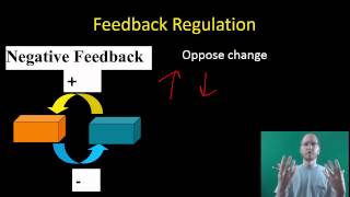 AP Bio Intro and Themes in Biology [upl. by Durand]