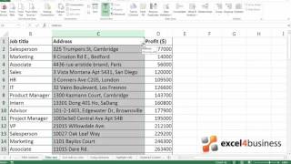 How to Filter Text in Excel 2013 [upl. by Anaeg]