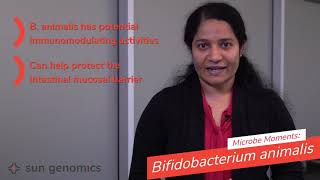 Microbe Moments Bifidobacterium animalis  Sun Genomics [upl. by Joe]