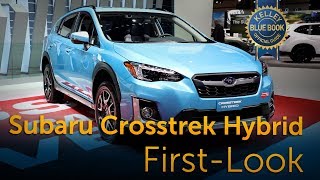 2019 Subaru Crosstrek Hybrid  First Look [upl. by Zeke]