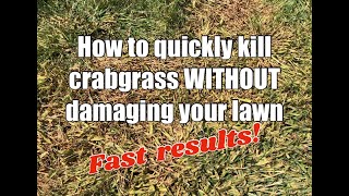 How to kill crabgrass quickly without damaging your lawn [upl. by Leuas]