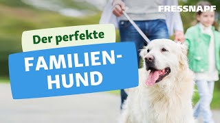 5 tolle Familienhunde [upl. by Klingel]