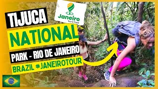 Largest Urban Forest Tijuca National Park  Rio de Janeiro Brazil JANEIRO TOUR amp TRAVEL [upl. by Roshelle]