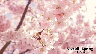 Vivaldi  Four Seasons Spring 1Hour Classic [upl. by Minnie225]