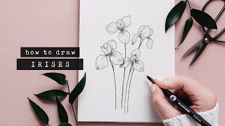 How To Draw An Iris Flower  Floral Illustration [upl. by Eicul]