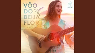 Vôo do Beija Flor [upl. by Aileahcim981]