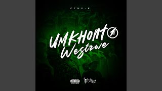 Umkhonto Wesizwe [upl. by Hoye]