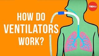 How do ventilators work  Alex Gendler [upl. by Chev288]