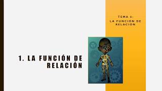 1  La función de relación 3º ESO [upl. by Anoo]