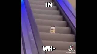 mayonnaise on an escalator 1 hour [upl. by Etsirk]