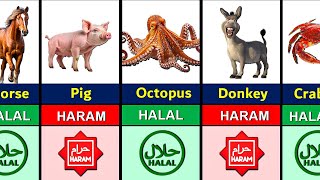 Halal and Haram Animal Meat in Islam [upl. by Id]