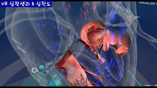 VR 심장생리 amp 심전도 [upl. by Hartzel]