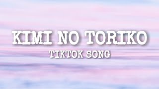 Kimi no toriko  Tiktok Song Lyrics quotsummertimequot [upl. by Pyne]