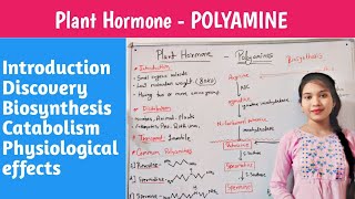 Plant Hormone  polyamines  biosynthesis  hindi  catabolism  physiology effect  chelsi [upl. by Icats]