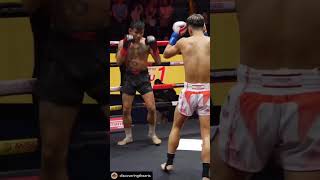 The Spinning Back Kick Breakdown mma tutorial muaythai martialarts [upl. by Ena561]