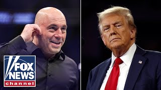 Joe Rogan advises Trump after 2024 victory Let them all talk their s [upl. by Foster]