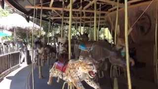 The Low Family on San Diego Zoo Safari Park Merry Go Round [upl. by Noired]