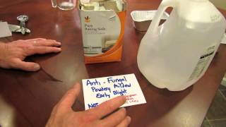 For New Gardeners How to Make a Baking Soda AntiFungal Garden Spray  MFG 2014 [upl. by Rapsag170]