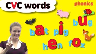 CVC words  a e i o u  Short Vowel Sounds  Phonics [upl. by Mackoff499]