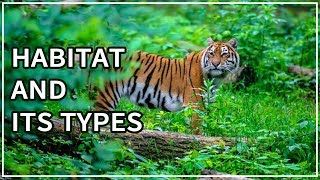 Habitat  Types of habitat  Animal Videos for Kids  eLearn K12 [upl. by Coryden]