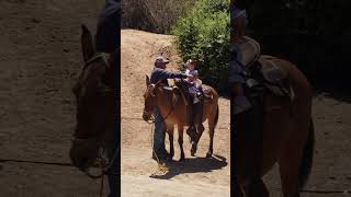 Rancho Corazon de Encino Ensenada BC MÉXICO [upl. by Gerita427]