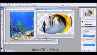 How to create GIF Animation in PhotoShop CS3 [upl. by Esaele]