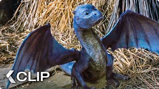 Feeding A Dragon Movie Clip  Eragon 2006 [upl. by Llerut828]