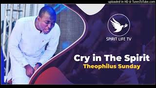 Theophilus Sunday  cry in the spirit [upl. by Segalman]