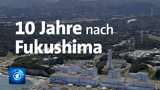 10 Jahre nach dem Unfall von Fukushima Folgen für die deutsche Atompolitik [upl. by Arraeit820]