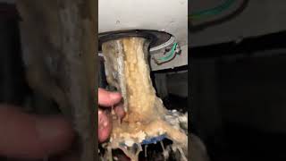 This is a Comercial water heater element that has gone bad [upl. by Brewster]