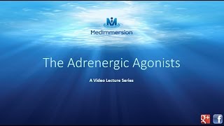 The Adrenergic Agonists [upl. by Pesek]