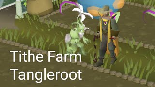 Tithe Farm Tangleroot  Account Update OSRS [upl. by Llemart]