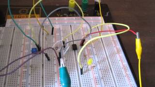 LM311 Voltage Comparator Circuit operates as night light circuit [upl. by Smoot]