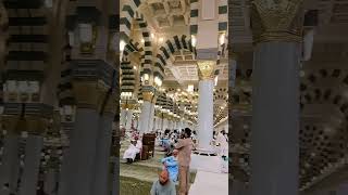 Madina masjid nabbi sorts viralreels islamicstatus viralshorts [upl. by Arreyt]