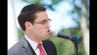 Aaron Tessler sings Sheva Brachot [upl. by Lauder]