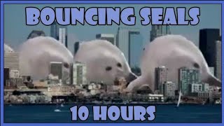 bouncing Seal 10 hour edition [upl. by Nacim511]