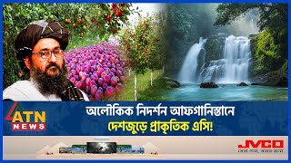 যেভাবে গরম নিয়ন্ত্রণ করে প্রসংসায় ভাসছে আফগান সরকার  Afghanistan Weather। Green Area  Ashraf Ghani [upl. by Katey]