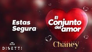 Conjunto Chaney  Estas Segura  Salsa Romantica con Letra [upl. by Attekahs868]