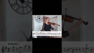 Rieding Violin Concerto in B minor Op 35 Ivana Duvnjak Akamatsu SHIVA violin duo [upl. by Eiramlatsyrc180]