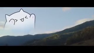 BONGO CAT 🔥 BEST COMPILATION [upl. by Eimmac]