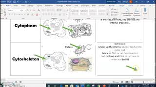 Organelles Lecture pt 2 [upl. by Petes]