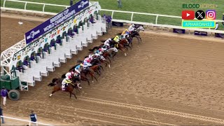 2024 Breeders Cup Dirt Mile Preakness Winner Seize the Grey Ends Career Against Tough Competition [upl. by Schlessinger]