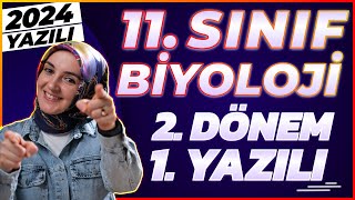 11Sınıf Biyoloji 2Dönem 1Yazılı 2024 yazılı biyoloji [upl. by Arahahs412]