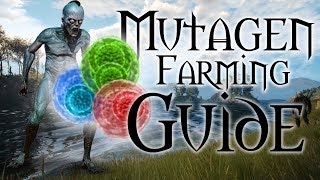 Mutagenerator Farming Guide  The Witcher 3 [upl. by Enymzaj]