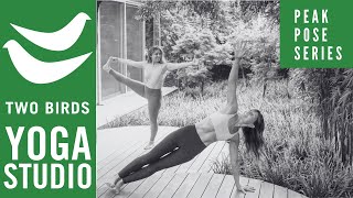 60 Minute Vinyasa Flow  Peak Pose Series Bird of Paradise [upl. by Tigdirb]