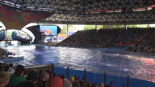 The Complete 2009 quotDolphin Discoveryquot Show at SeaWorld [upl. by Nehgem]