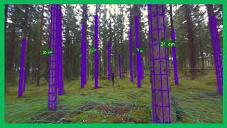 Forest measurement by autonomous drone [upl. by Enrica]