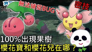 【寶可夢傳說 阿爾宙斯】密技無法捕捉BUG 櫻花寶和櫻花兒必出果樹地點？晴天形態無法捕捉BUG、夜晚陰天形態才可捕獲【地方熊貓】Pokémon LEGENDS アルセウス [upl. by Leik]